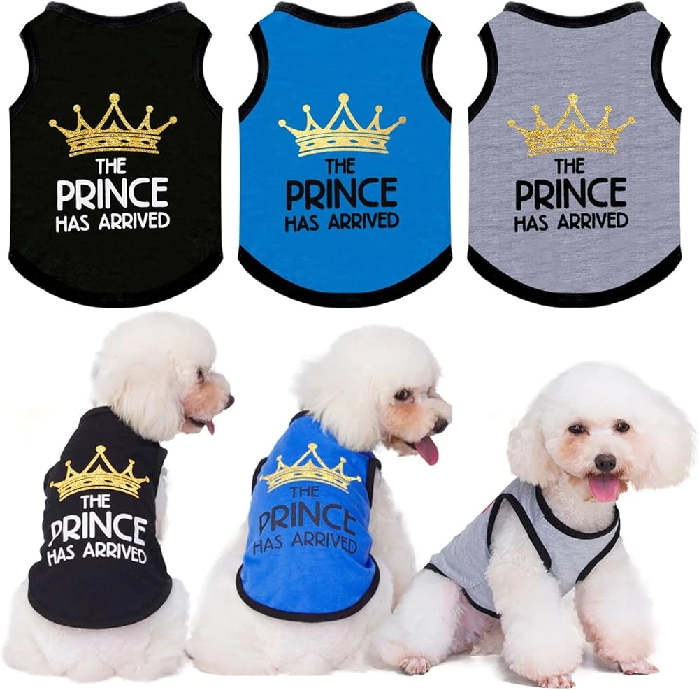 Camiseta Colección "The Prince Has Arrived"'s foto | Moon y sus Amigos |  BizneCubano